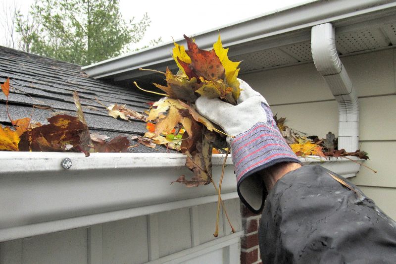 Gutter Leaf Clearing in Frederick, MD